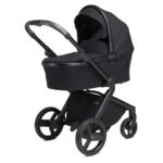 Anex L Type – Carucior 2 in 1 ONYX