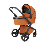 Anex L Type – Carucior 2 in 1 GINGER