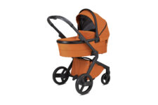 Anex L Type – Carucior 2 in 1 GINGER