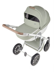 Anex M Type – Carucior 2 in 1 MINTY